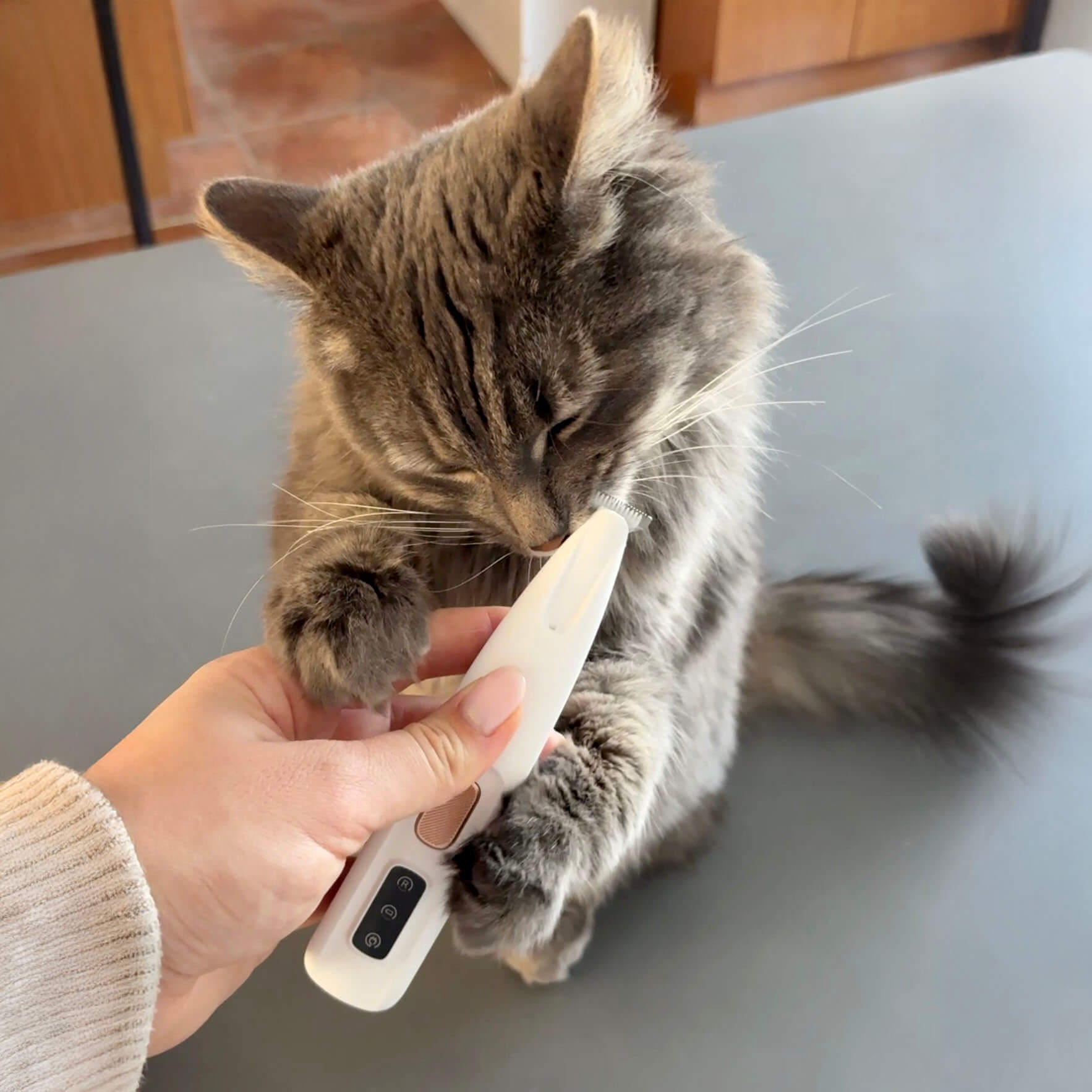 CalmClippers™ for Cats