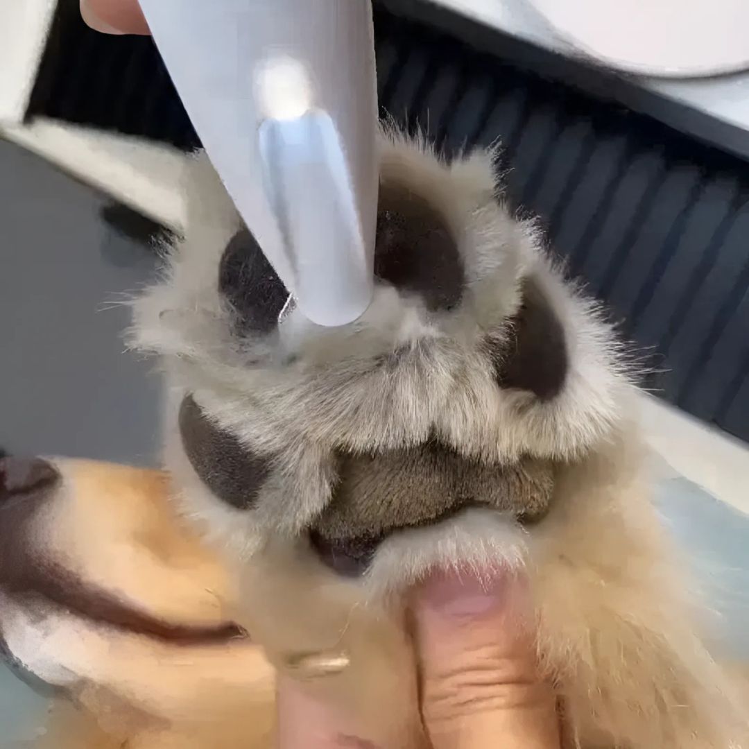 CalmClippers™ for Dogs